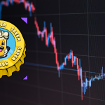 BEERCOIN Yatırımcıları Tedirgin: Büyük Yatırımcılar Satışta!
