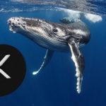 XRP Balinalarından Milyonluk Transfer