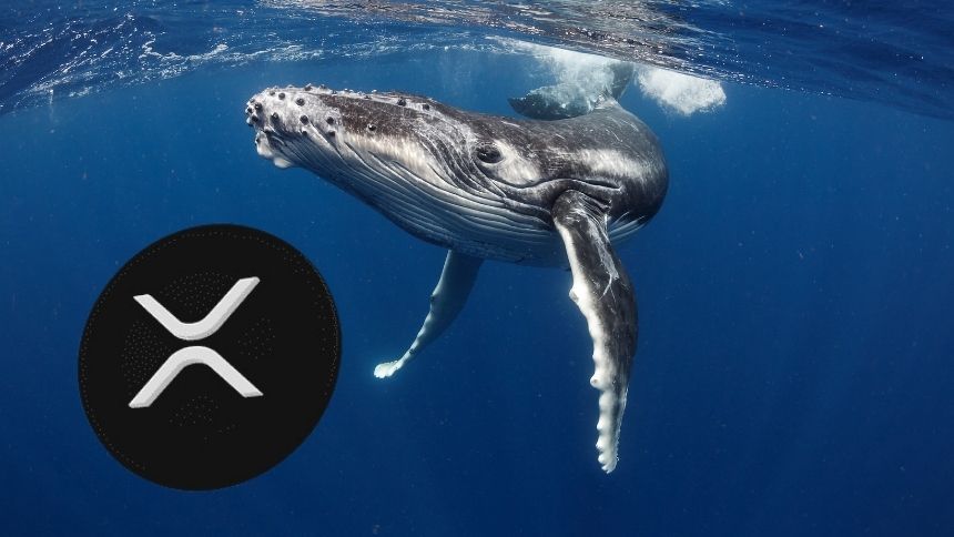 XRP Balinalarından Milyonluk Transfer