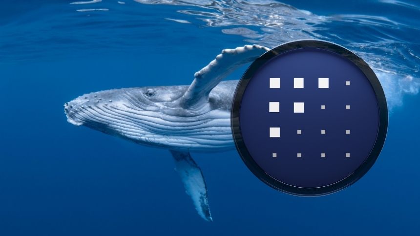 Balinalar FET ve Bu 10 Altcoin'i Topluyor!
