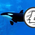 Litecoin Balinası Binance'den 20 Milyon Dolar Çekti!