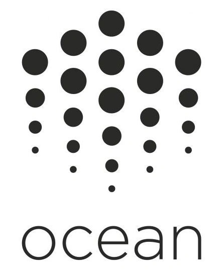 ocean protocol coin