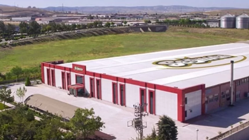 seğmen karddeşler halka arz