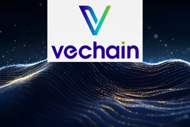 vechain (vet) potansiyeli