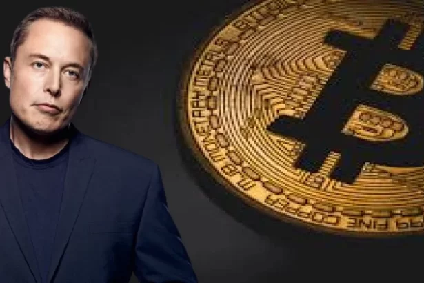 Elon Musk Tennessee'ye Geldi, Bitcoin Söylentileri Gerçek mi?