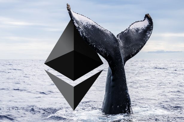 Ethereum ICO Cüzdanları, Kraken'e 3.631 ETH Yatırdı!