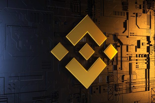 Binance Banana Gun'u Listeledi, BANANA Yüzde 26 Yükseldi!