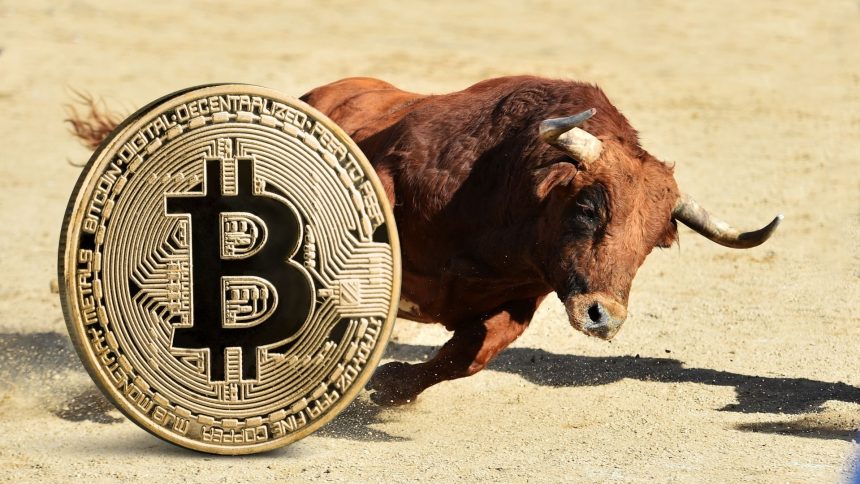 Donald Trump Saldırısı, Bitcoin Boğa Koşusunun Habercisi mı?