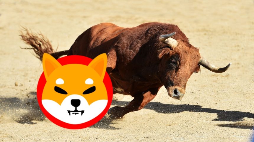 Shiba Inu (SHIB) 2021'deki Ralliyi Tekrar Ederse Fiyatı Ne Olur?