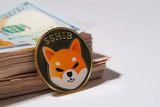 Shiba Inu: WazirX'ten 5 Trilyon SHIB Çalındı!